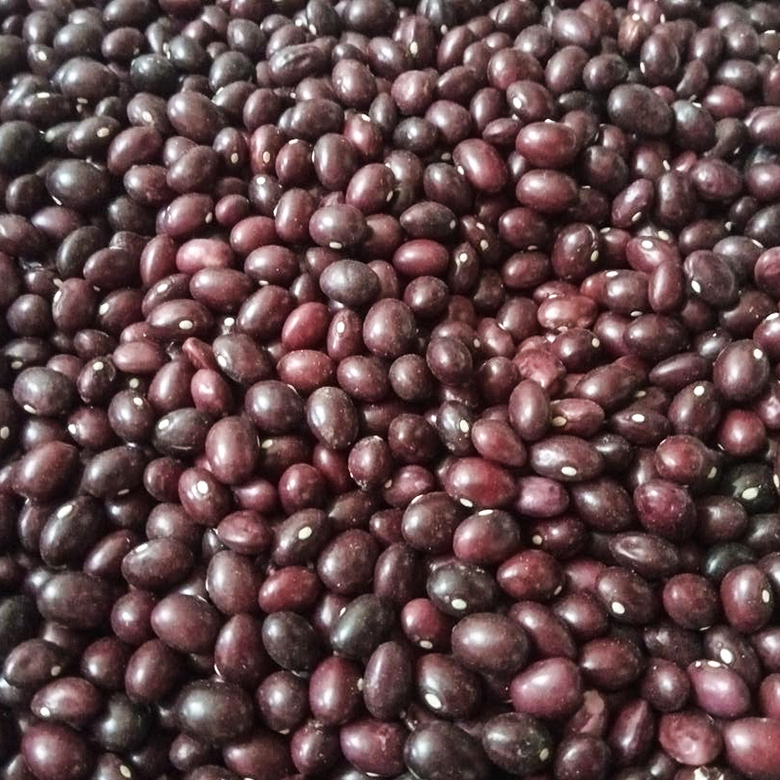 huerta-3